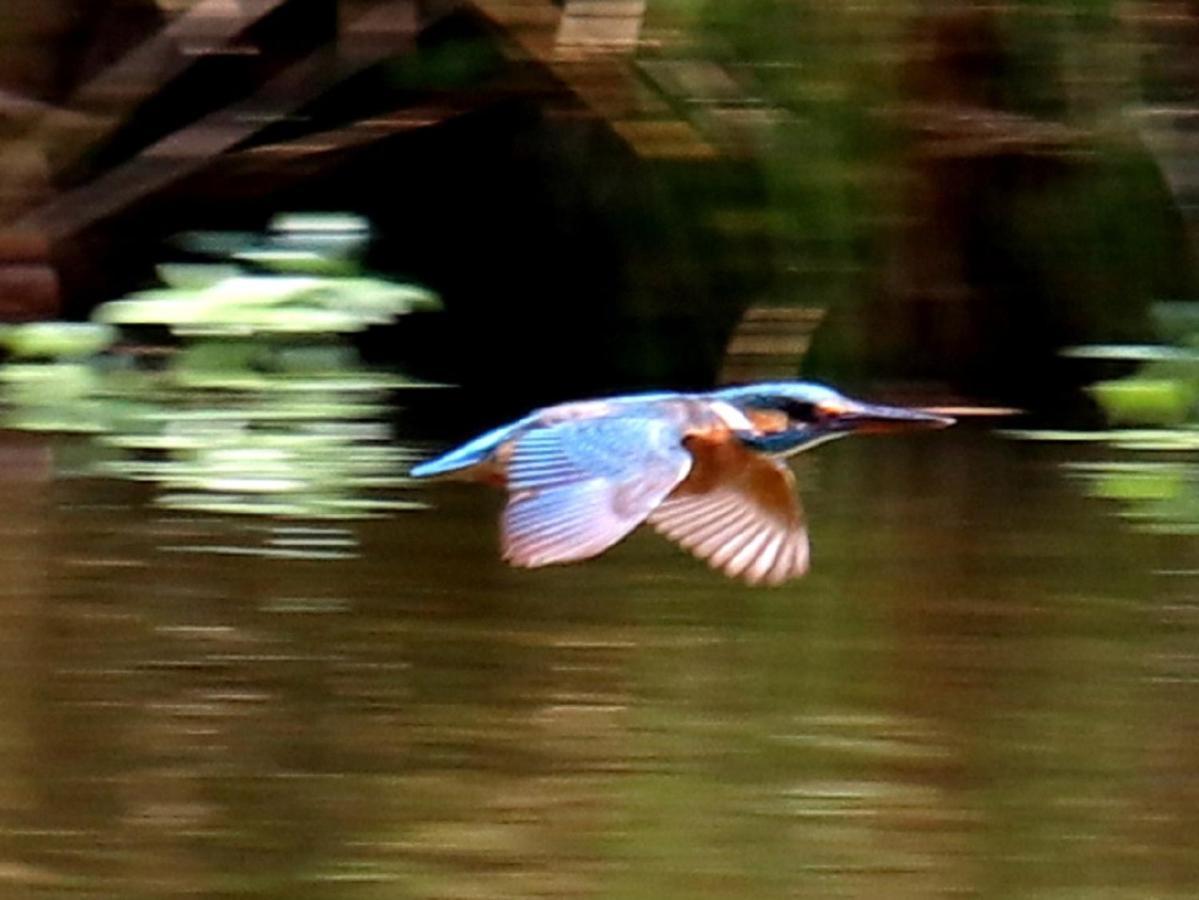 Balledent River Cottage المظهر الخارجي الصورة