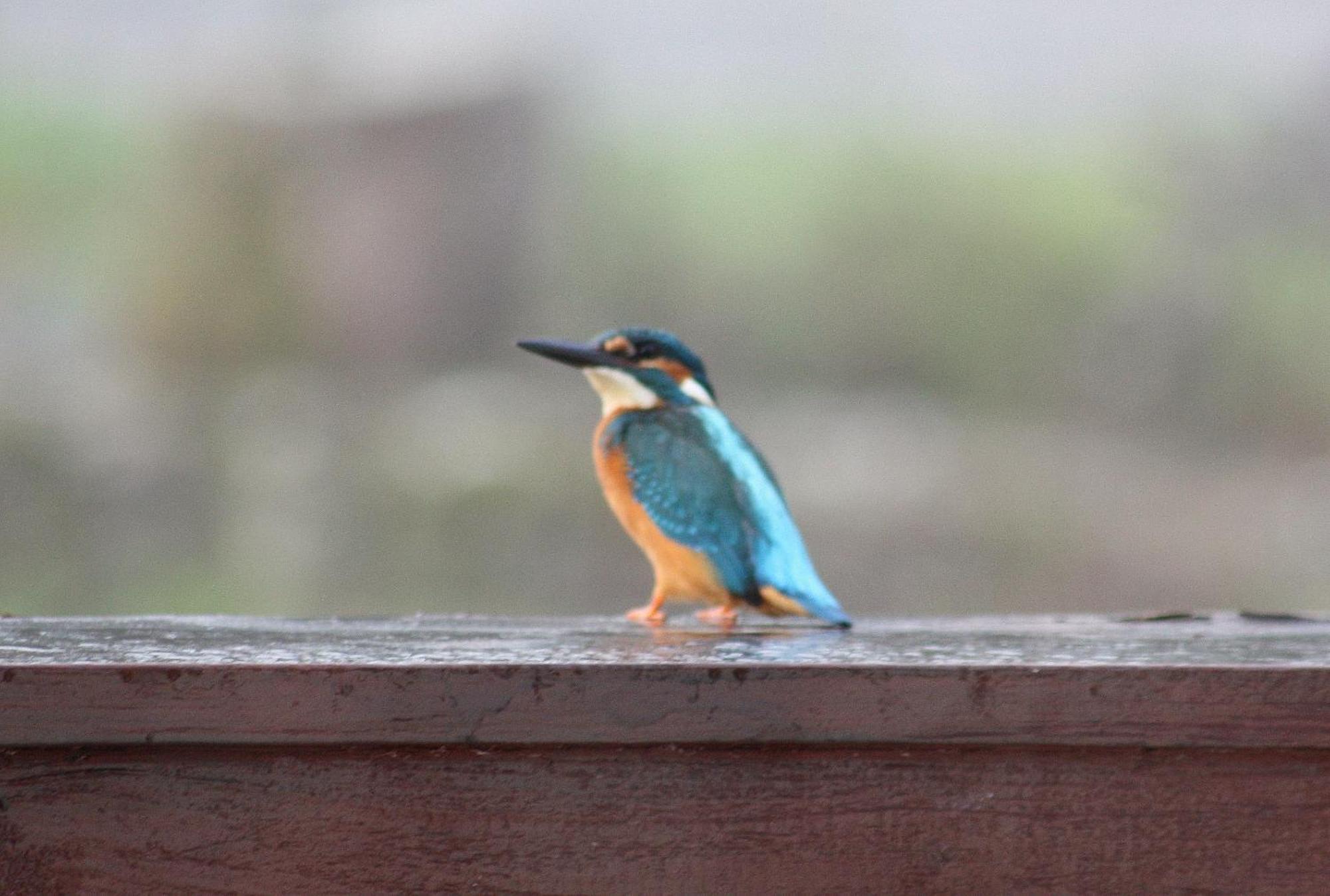 Balledent River Cottage المظهر الخارجي الصورة