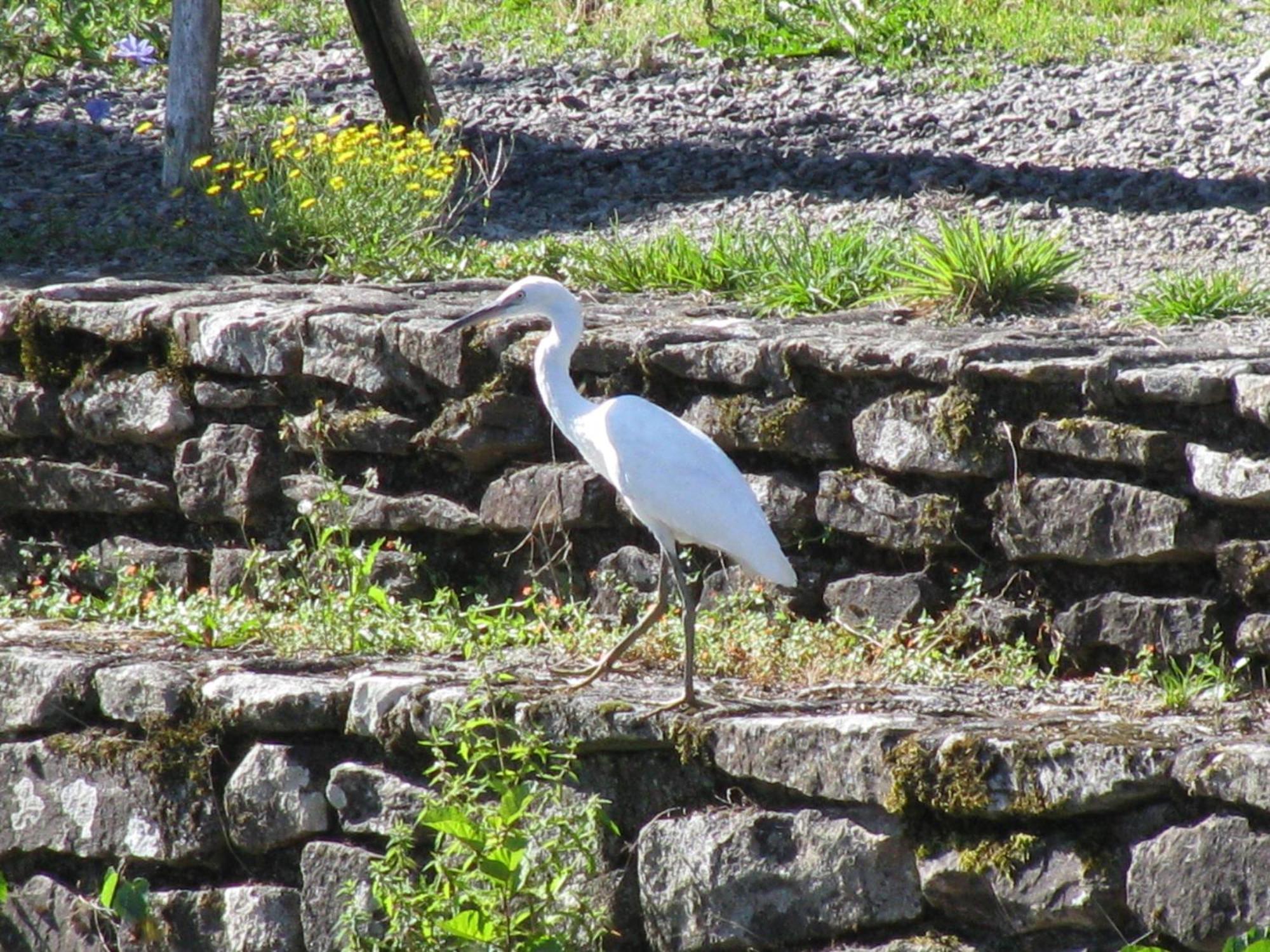 Balledent River Cottage المظهر الخارجي الصورة