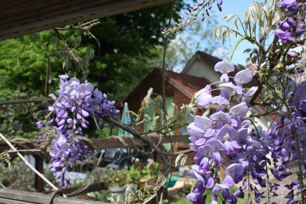 Balledent River Cottage المظهر الخارجي الصورة